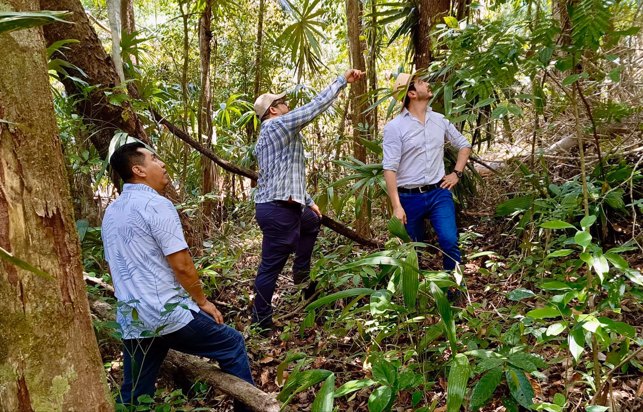 Guatemala Partners with Restor to Scale Up Nature Monitoring and Meet 2030 Goals
