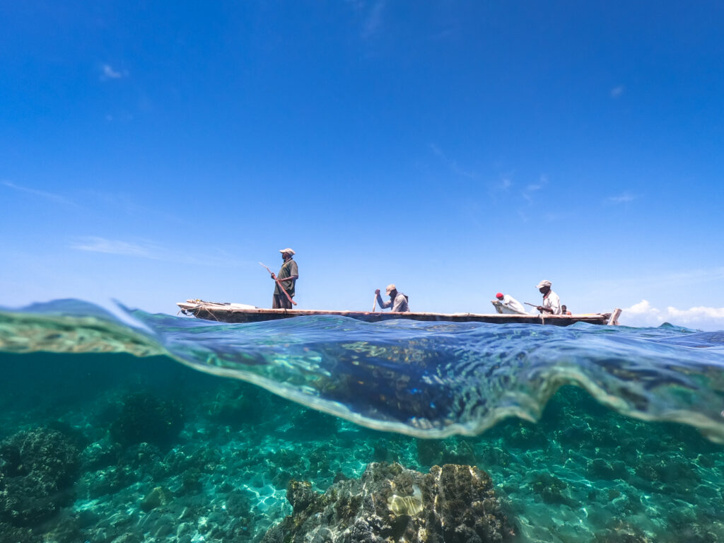 Safeguarding Nature, Securing Peace and a Sustainable Future at the 80th United Nations General Assembly