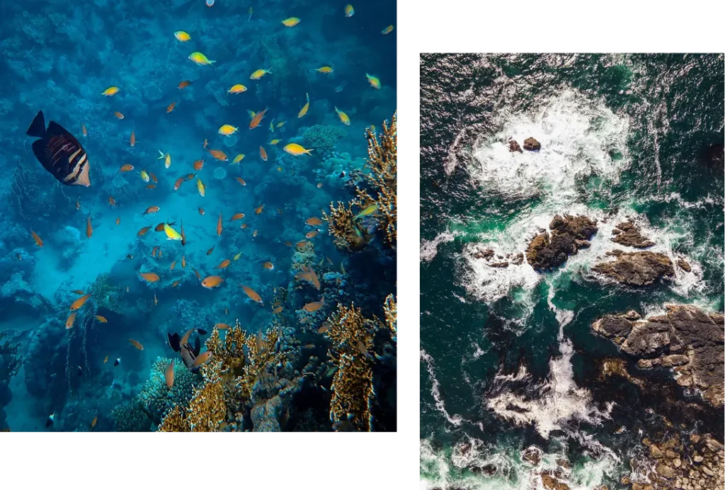 The High Ambition Coalition For Nature and People Launches its Second Cycle of Rapid Deployment Mechanism (RDM) to Accelerate Global 30×30 Action