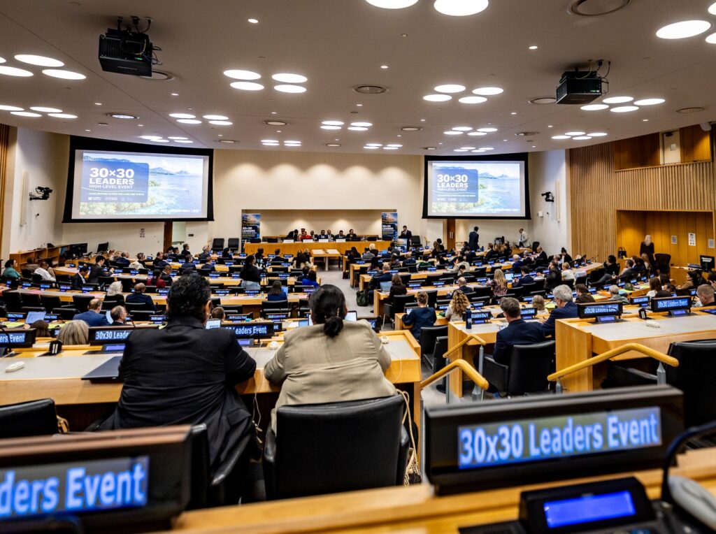 Heads of State and Ministers Unite to Accelerate Delivery of 30×30